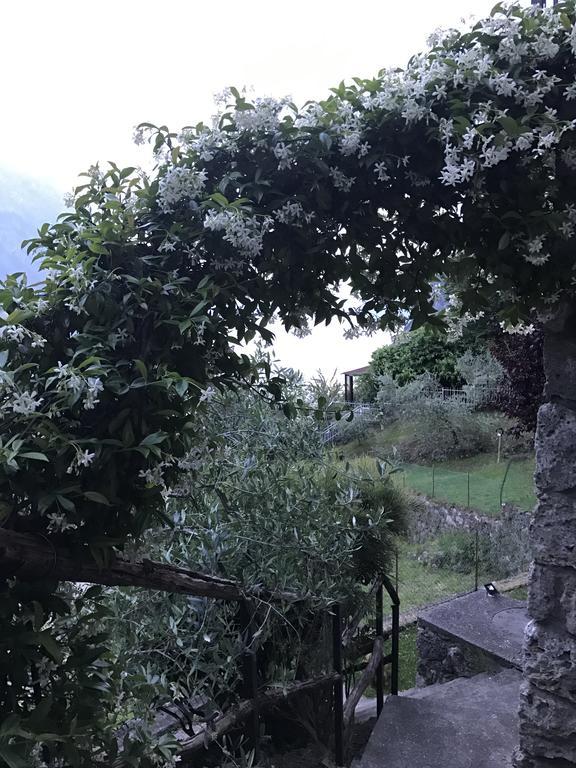 B&B Bellavista Castro  Kültér fotó